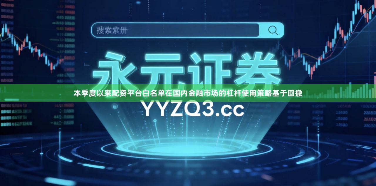本季度以来配资平台白名单在国内金融市场的杠杆使用策略基于回撤